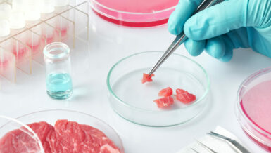 Industry-Scale Production of Cultivated Meat and the Importance of Valve Control