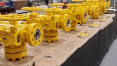 Oliver Twinsafe Valves Supplied for MEG Injection Pump Systems